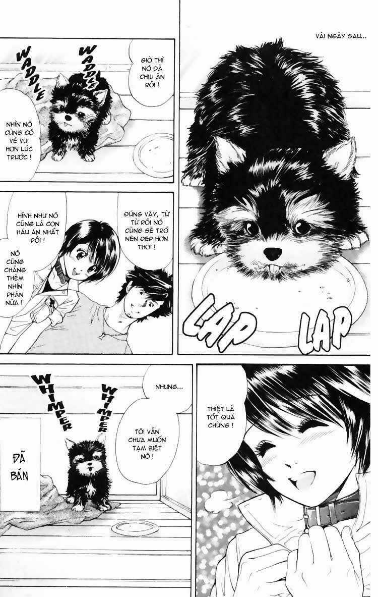 Cô Nàng Yêu Chó - Chapter 3 - Trang 24