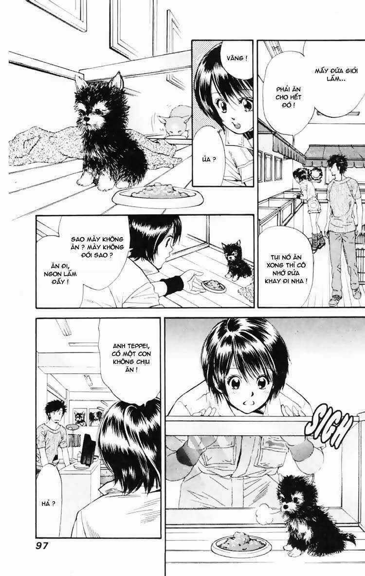 Cô Nàng Yêu Chó - Chapter 3 - Trang 9