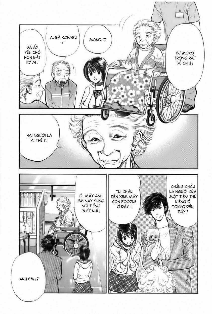 Cô Nàng Yêu Chó - Chapter 30 - Trang 10