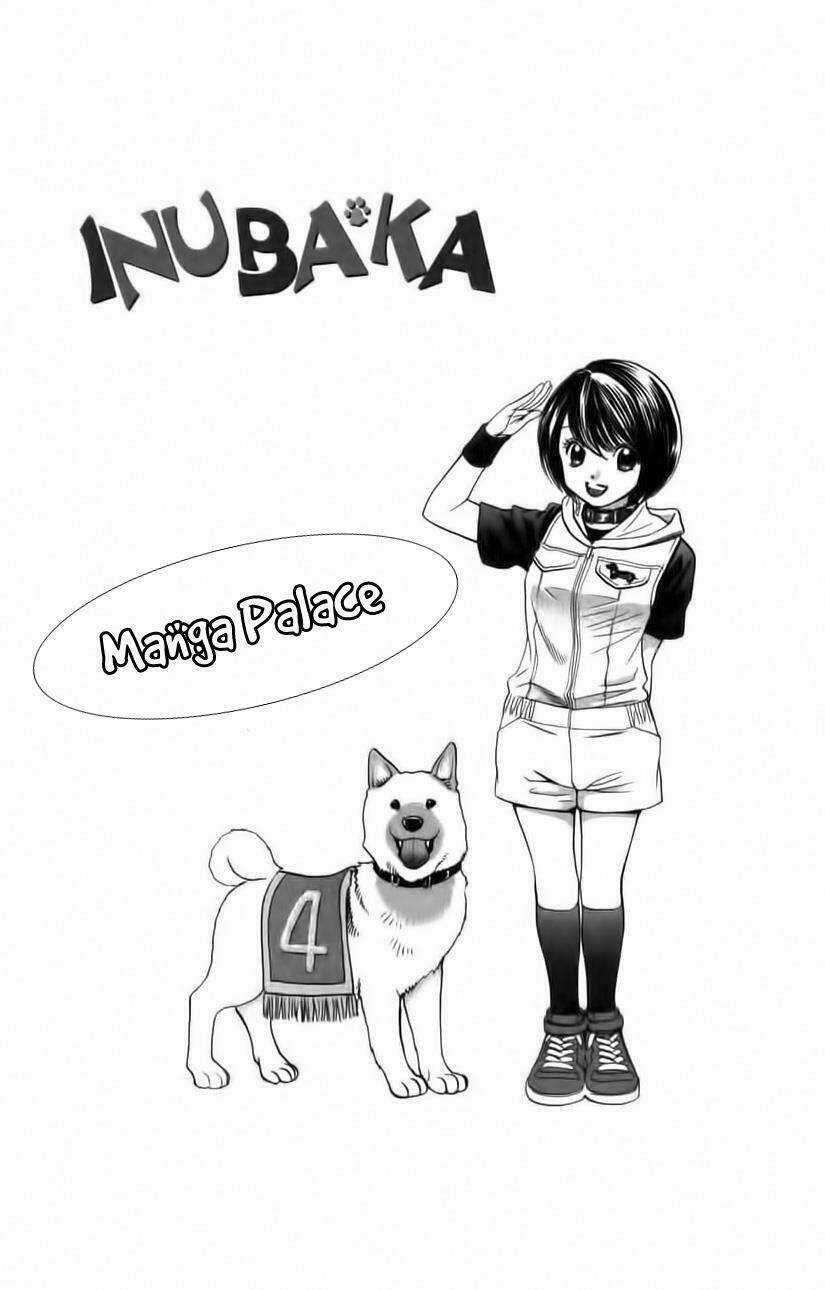 Cô Nàng Yêu Chó - Chapter 31 - Trang 3