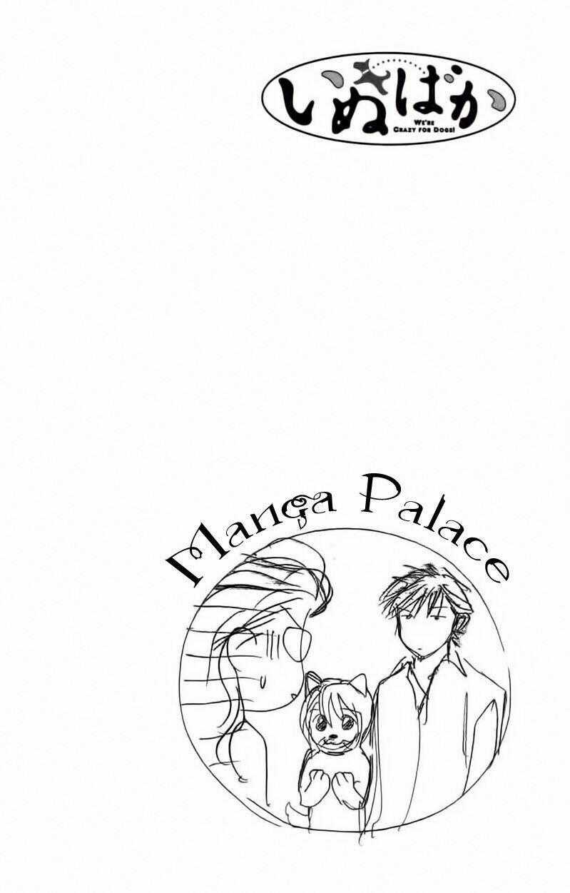 Cô Nàng Yêu Chó - Chapter 32 - Trang 2