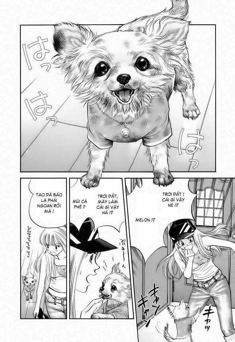 Cô Nàng Yêu Chó - Chapter 34 - Trang 5