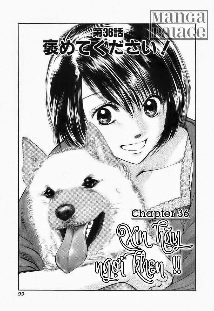 Cô Nàng Yêu Chó - Chapter 36 - Trang 1