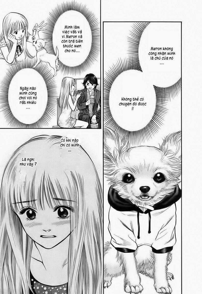 Cô Nàng Yêu Chó - Chapter 37 - Trang 1