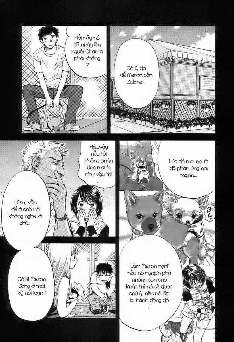 Cô Nàng Yêu Chó - Chapter 37 - Trang 13
