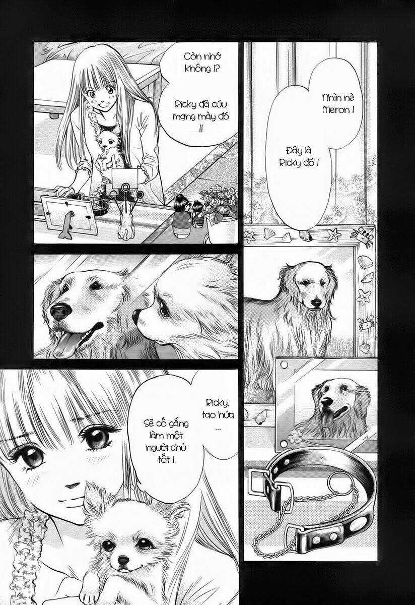 Cô Nàng Yêu Chó - Chapter 37 - Trang 3