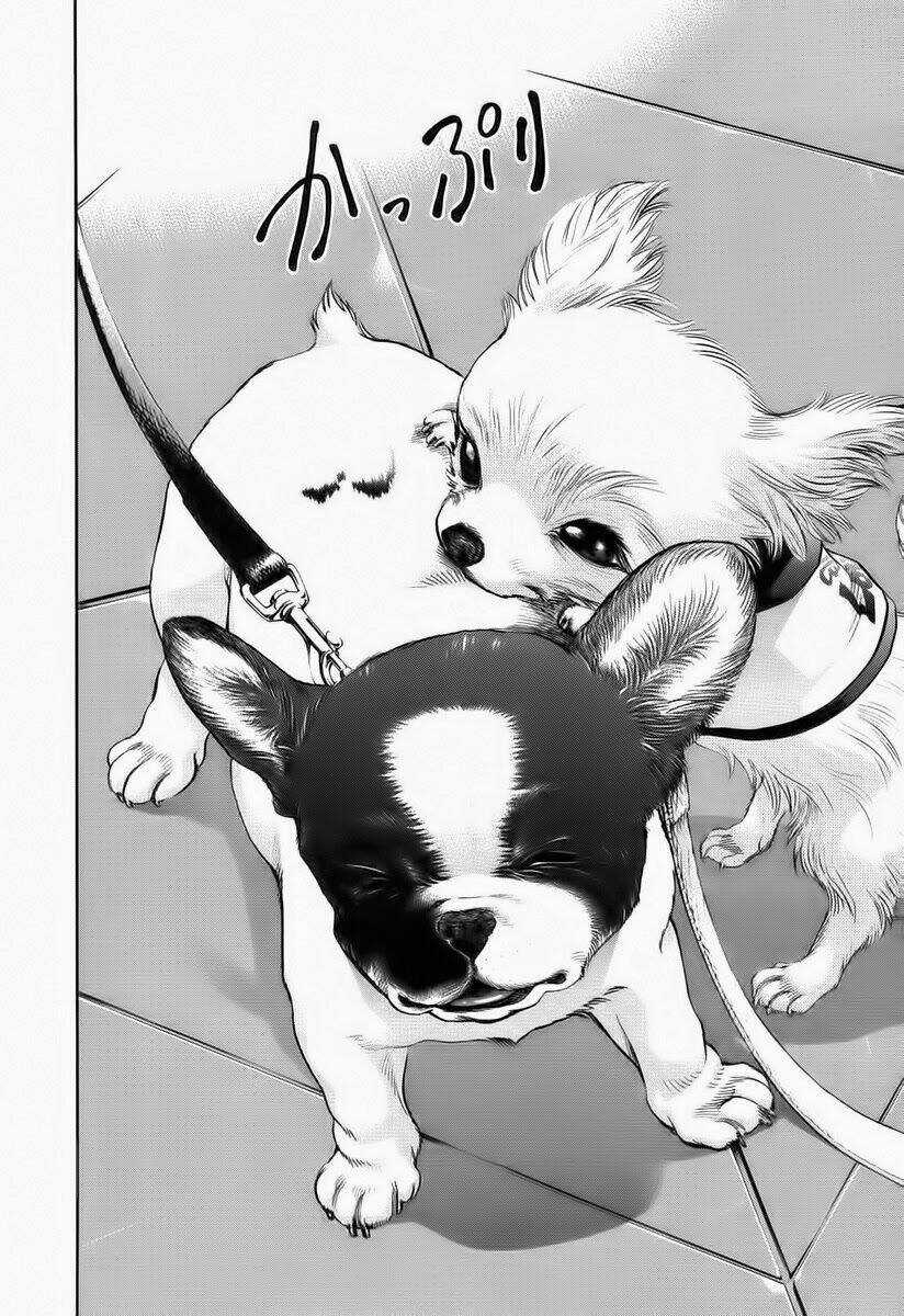 Cô Nàng Yêu Chó - Chapter 37 - Trang 10