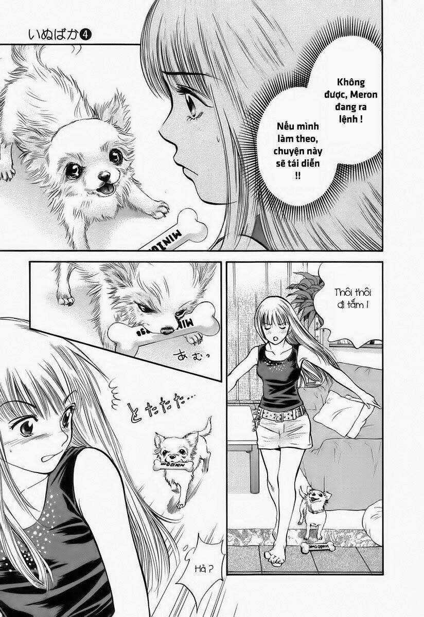 Cô Nàng Yêu Chó - Chapter 38 - Trang 9