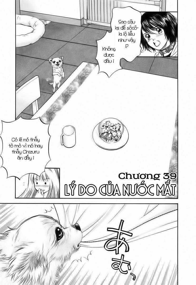 Cô Nàng Yêu Chó - Chapter 39 - Trang 1