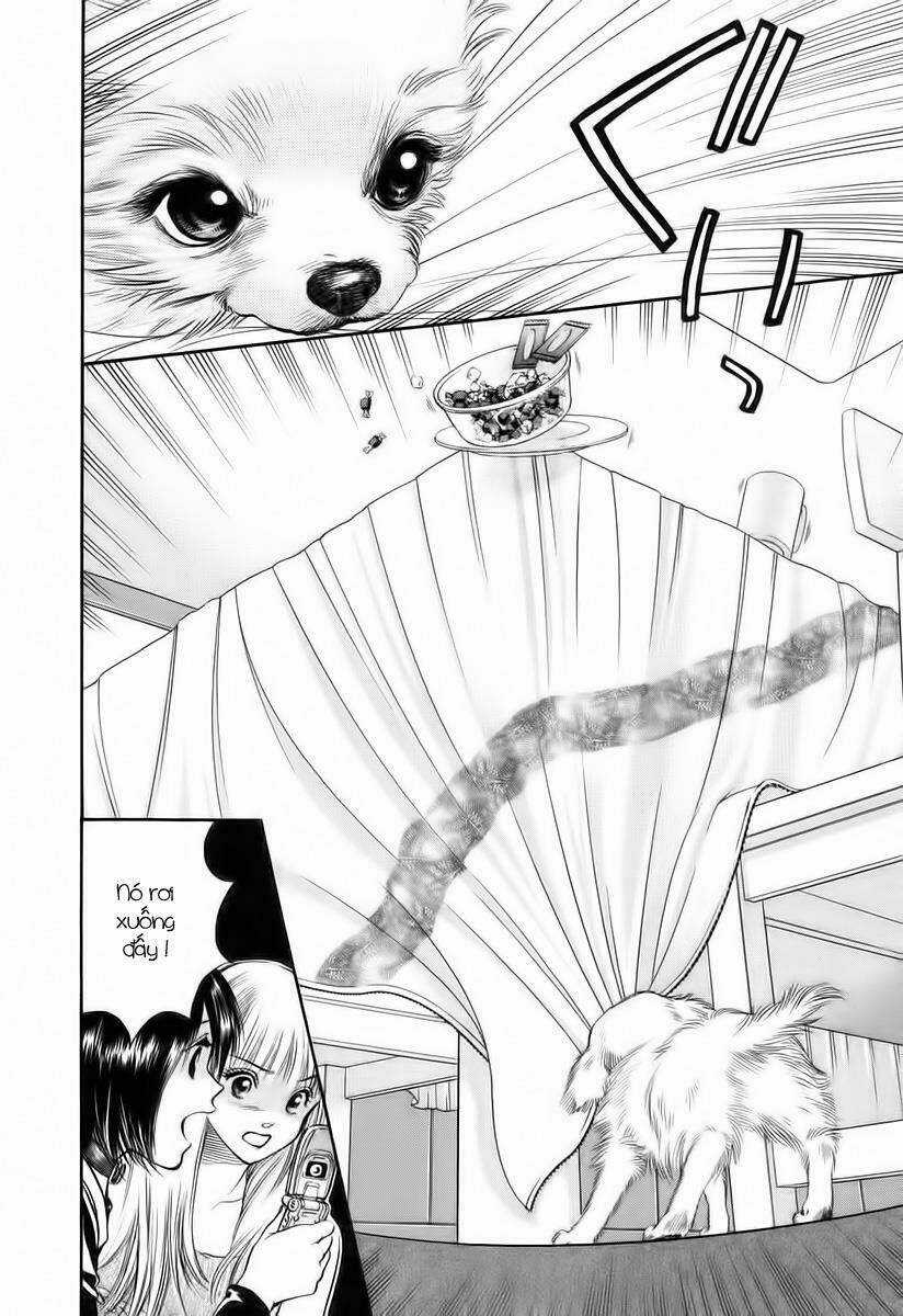 Cô Nàng Yêu Chó - Chapter 39 - Trang 5