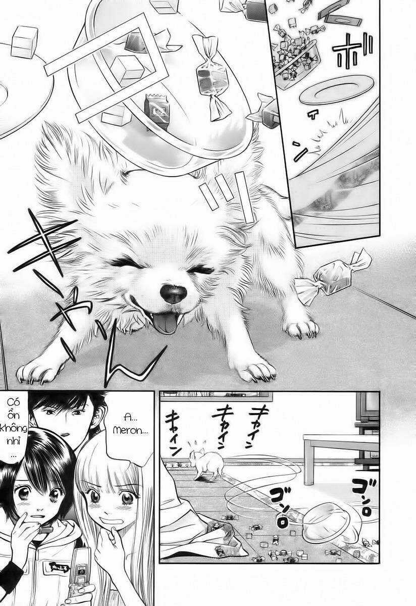 Cô Nàng Yêu Chó - Chapter 39 - Trang 6