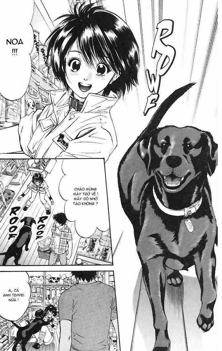 Cô Nàng Yêu Chó - Chapter 4 - Trang 2