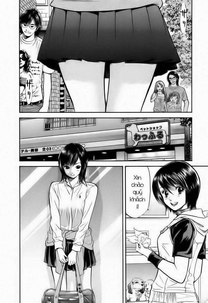 Cô Nàng Yêu Chó - Chapter 41 - Trang 2