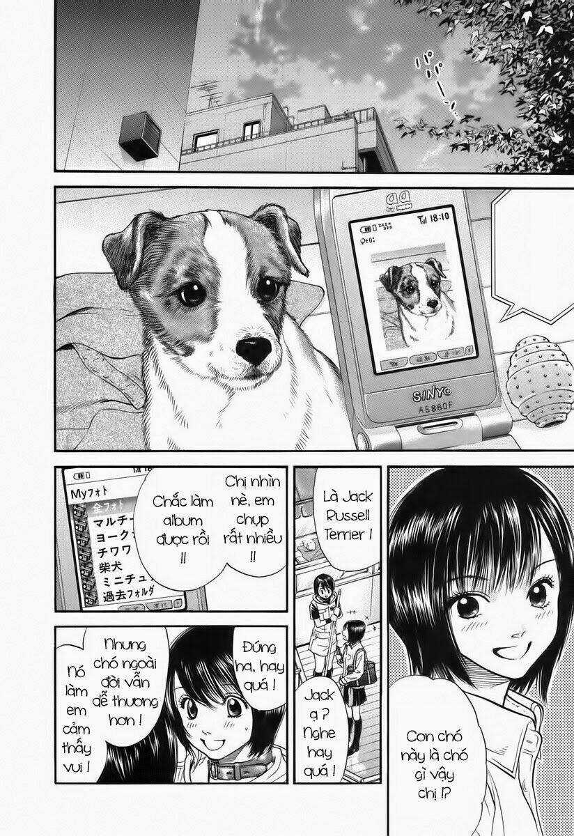 Cô Nàng Yêu Chó - Chapter 41 - Trang 10