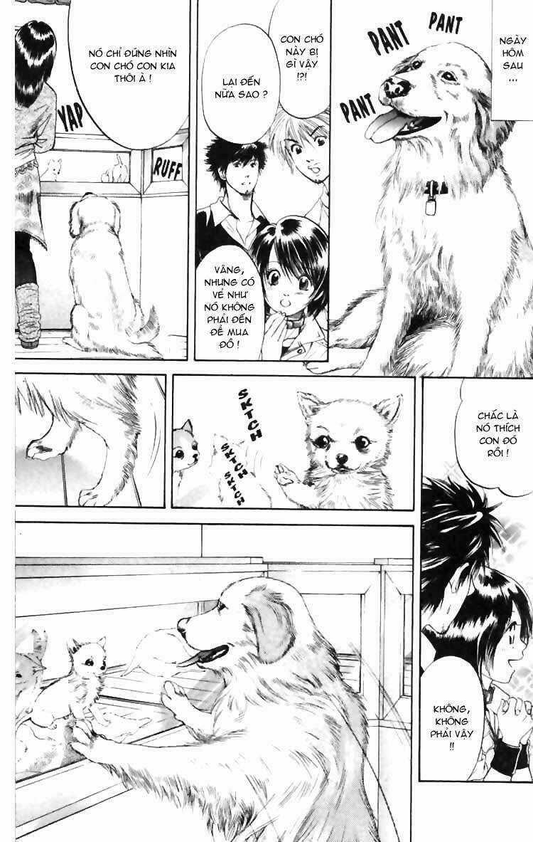 Cô Nàng Yêu Chó - Chapter 5 - Trang 17