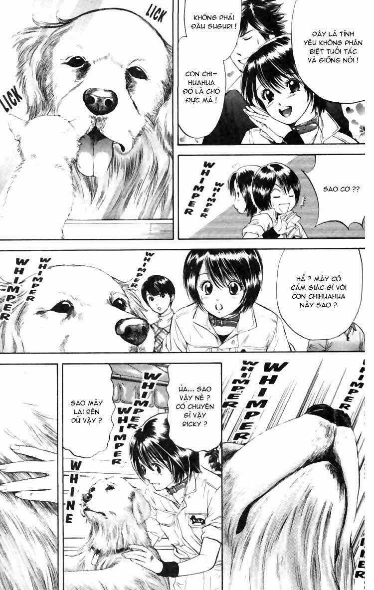 Cô Nàng Yêu Chó - Chapter 5 - Trang 18