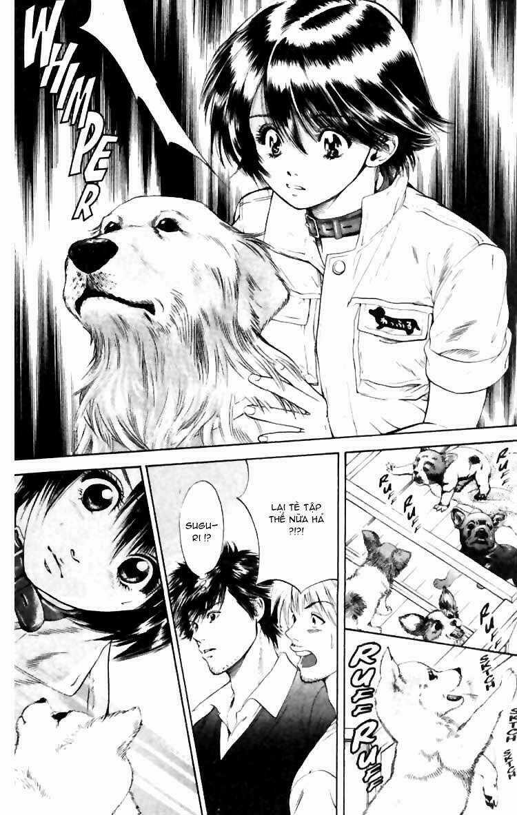 Cô Nàng Yêu Chó - Chapter 5 - Trang 19