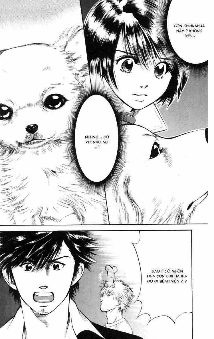 Cô Nàng Yêu Chó - Chapter 5 - Trang 20