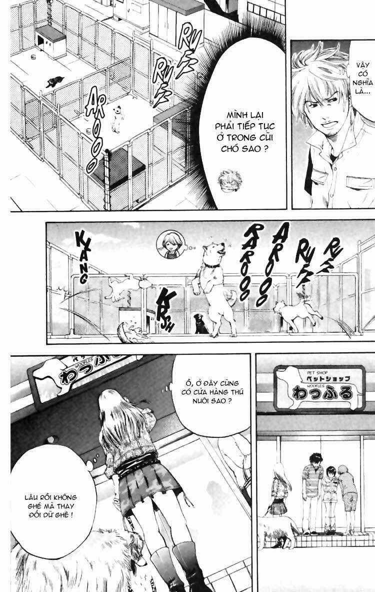 Cô Nàng Yêu Chó - Chapter 5 - Trang 7