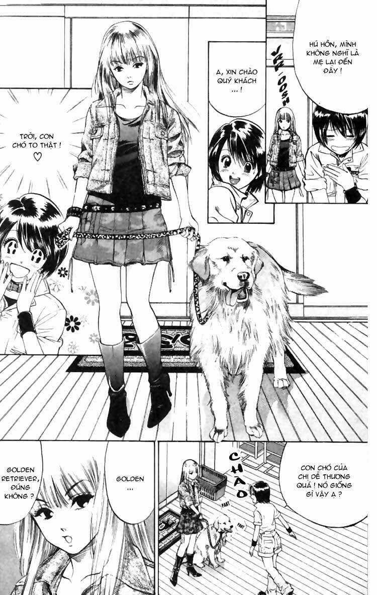 Cô Nàng Yêu Chó - Chapter 5 - Trang 8