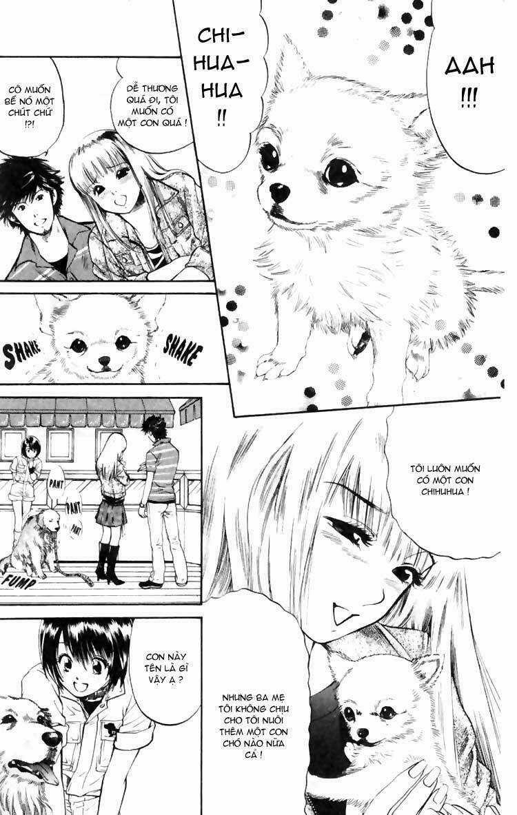 Cô Nàng Yêu Chó - Chapter 5 - Trang 10