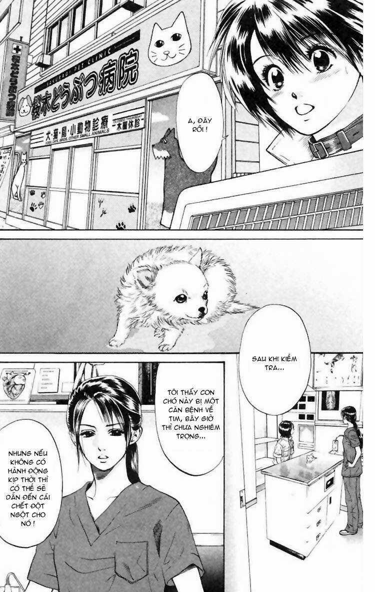 Cô Nàng Yêu Chó - Chapter 6 - Trang 3