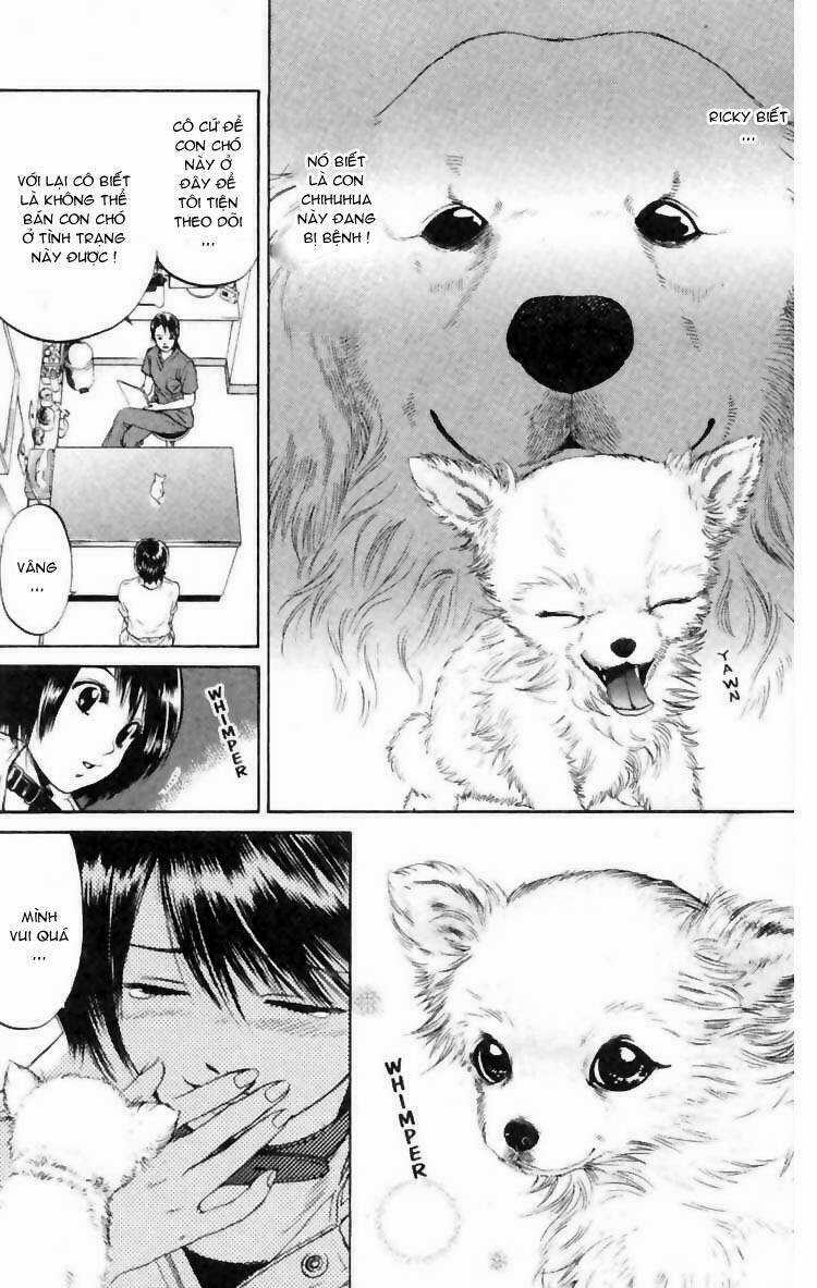 Cô Nàng Yêu Chó - Chapter 6 - Trang 5
