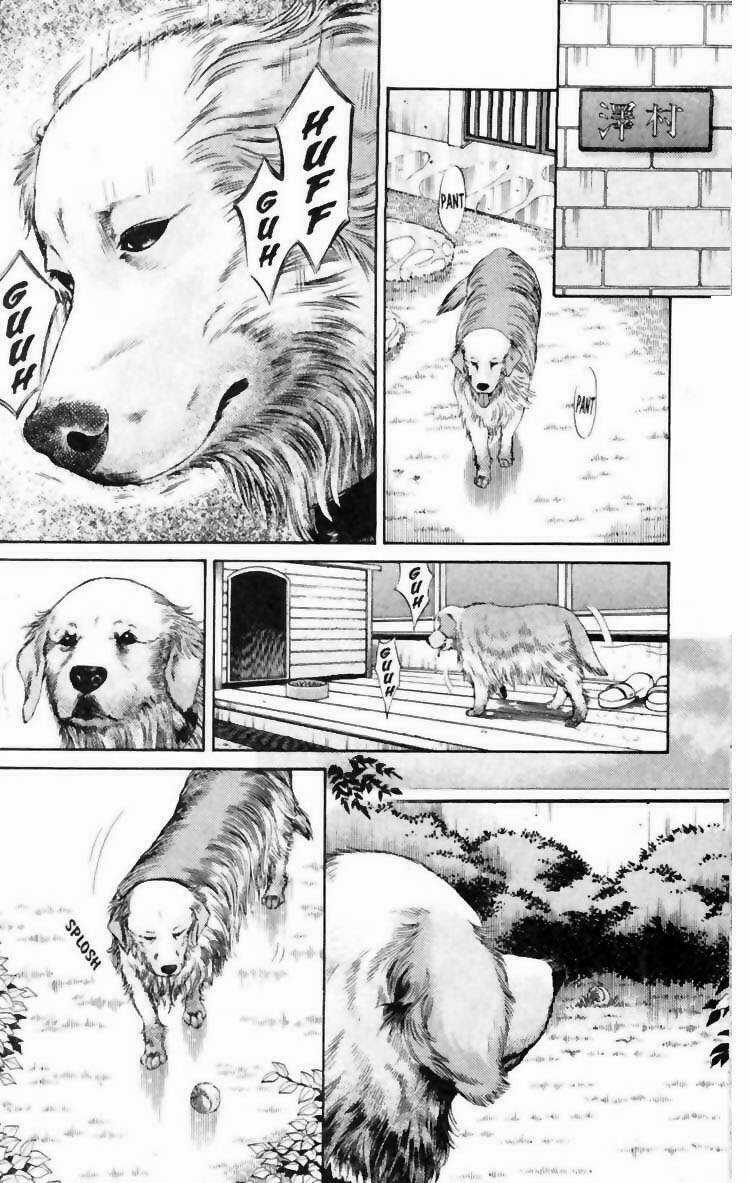 Cô Nàng Yêu Chó - Chapter 6 - Trang 9