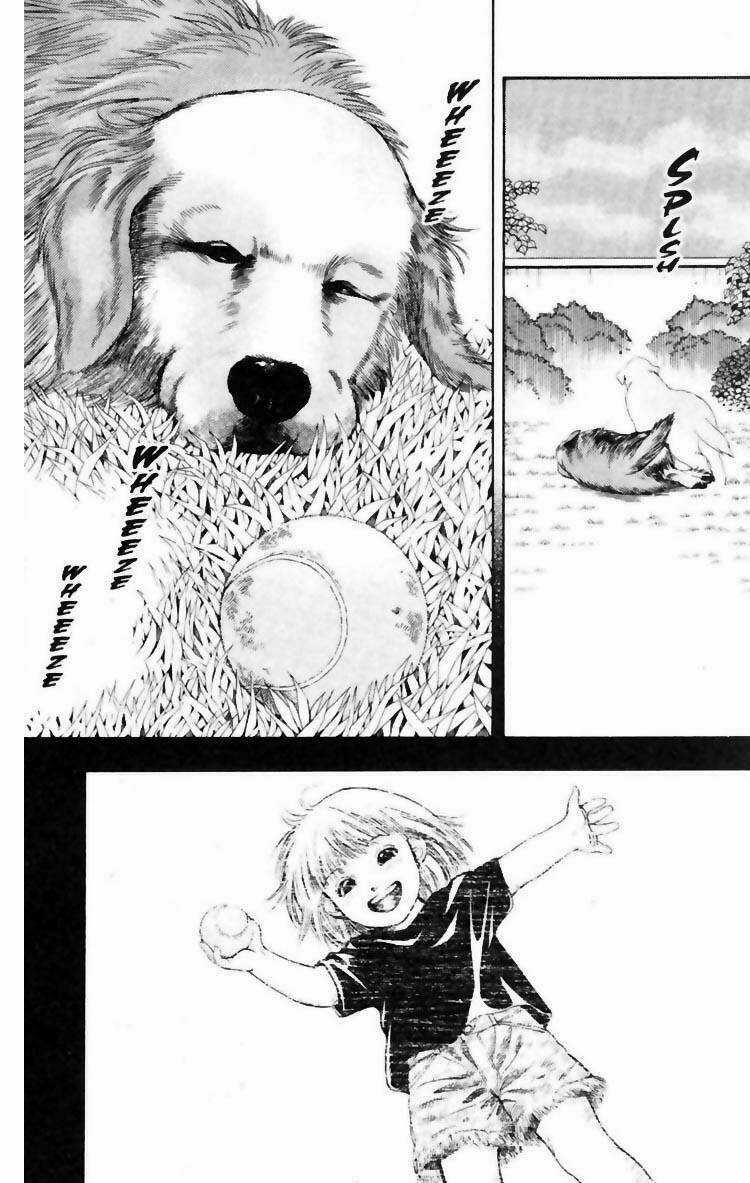 Cô Nàng Yêu Chó - Chapter 6 - Trang 10