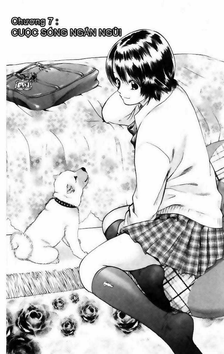 Cô Nàng Yêu Chó - Chapter 7 - Trang 1