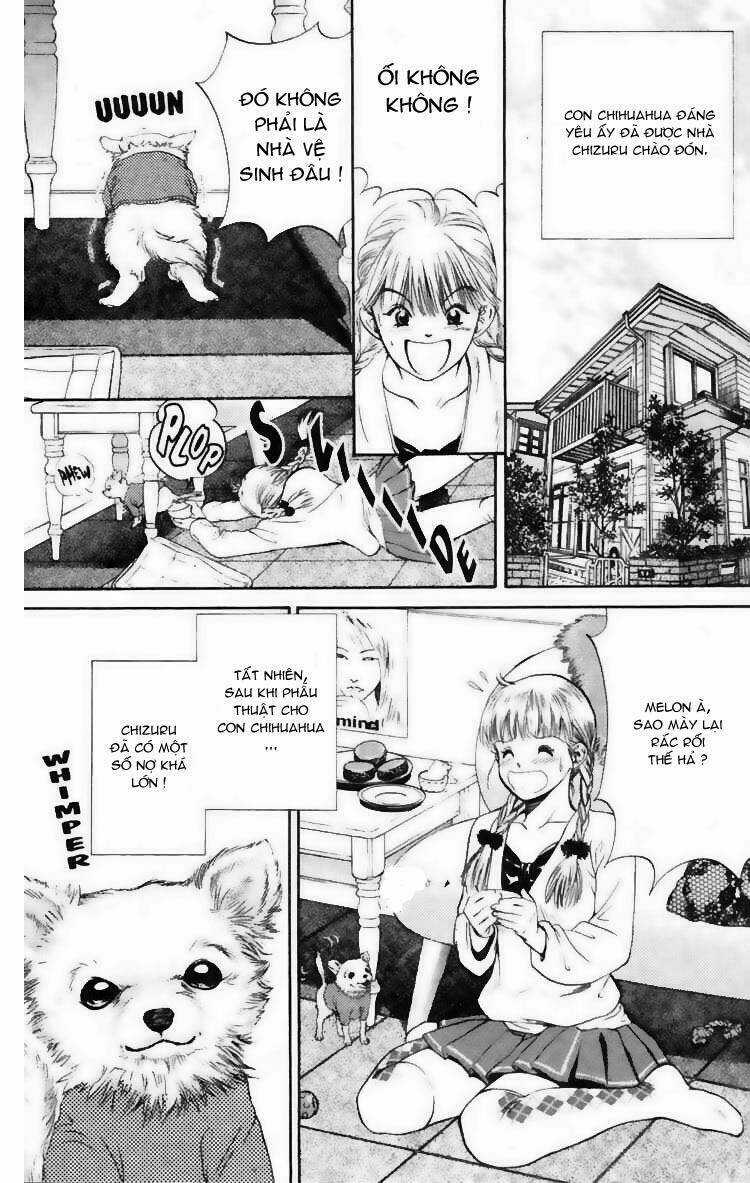 Cô Nàng Yêu Chó - Chapter 7 - Trang 15