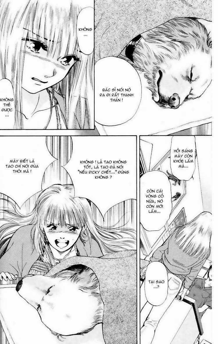 Cô Nàng Yêu Chó - Chapter 7 - Trang 4