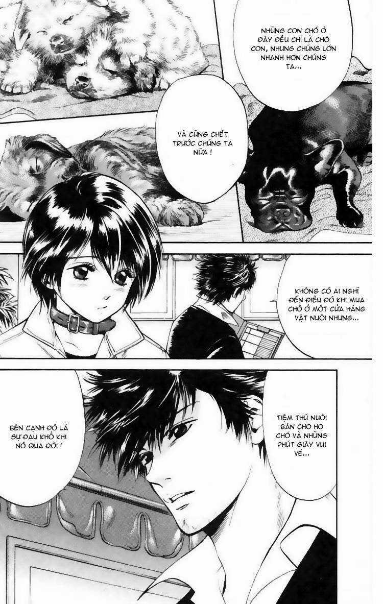 Cô Nàng Yêu Chó - Chapter 7 - Trang 8