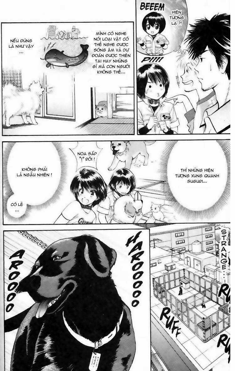 Cô Nàng Yêu Chó - Chapter 8 - Trang 10