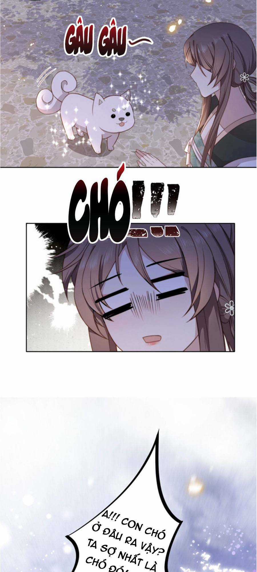 Cô Vương Quả Nữ - Chapter 4 - Trang 5