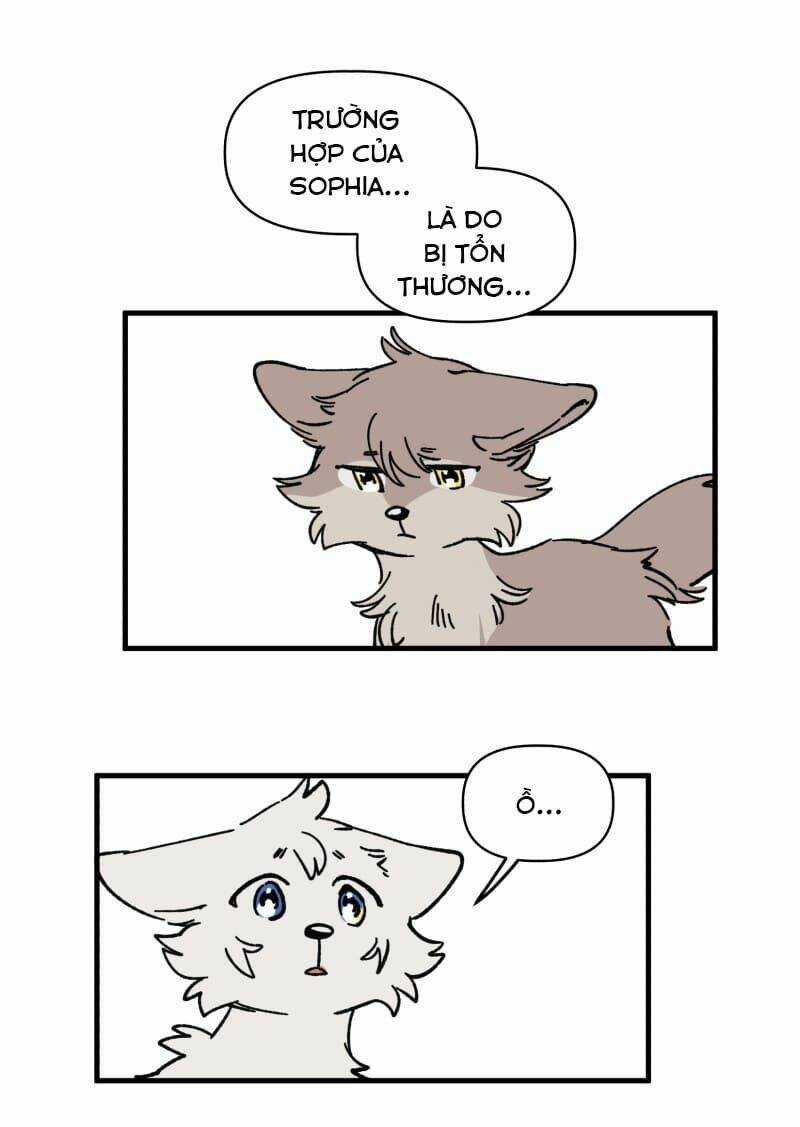 Cội Nguồn Ánh Sáng - Chapter 129 - Trang 5