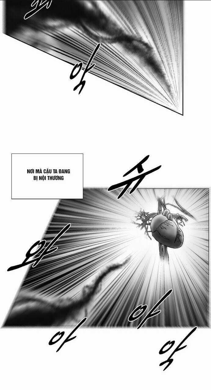 Cơn Bão Đỏ - Chapter 223 - Trang 5