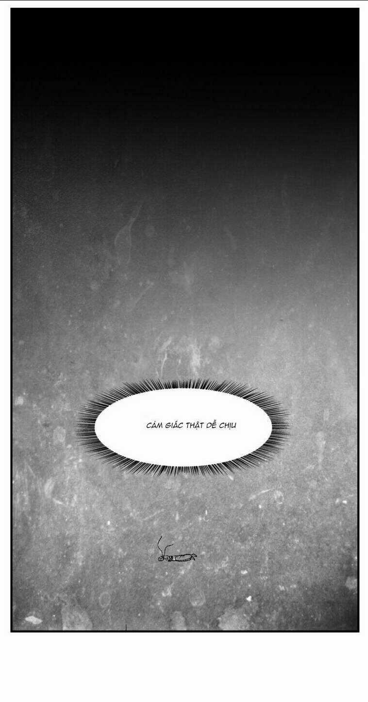 Cơn Bão Đỏ - Chapter 254 - Trang 20