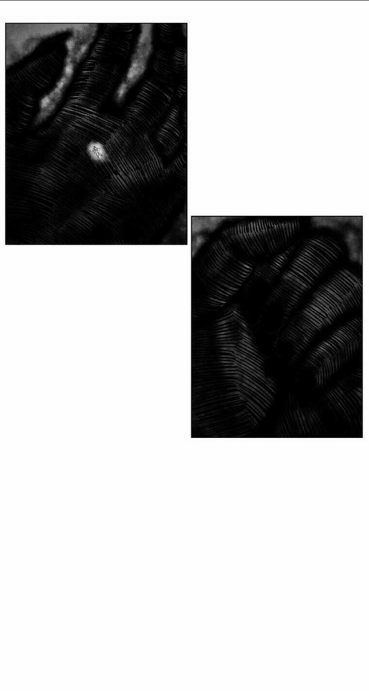 Cơn Bão Đỏ - Chapter 254 - Trang 49