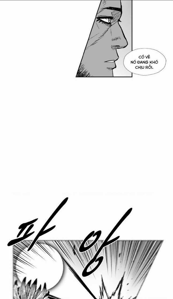 Cơn Bão Đỏ - Chapter 294 - Trang 11