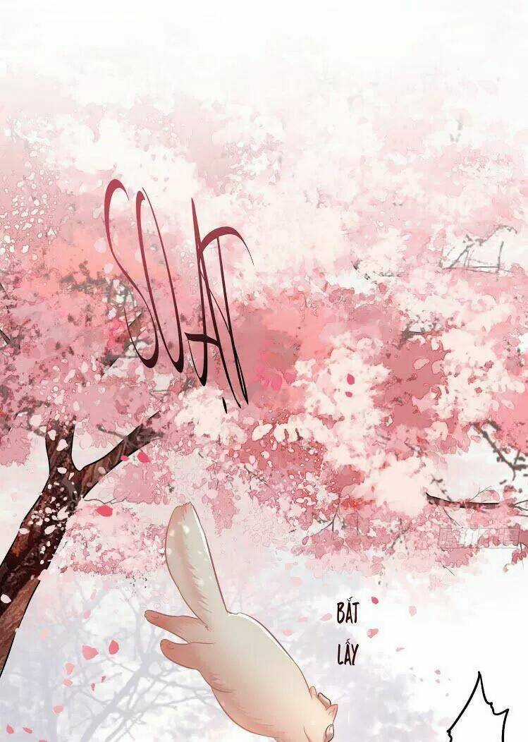 Con Đường Hoang Dã Của Vương Phi - Chapter 9 - Trang 9