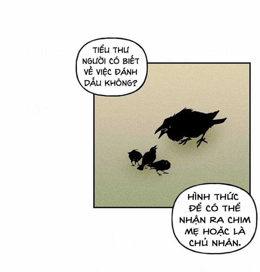 Con Gái Của Đại Pháp Sư - Chapter 16 - Trang 69