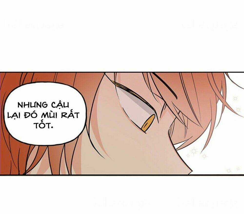 Con Gái Của Đại Pháp Sư - Chapter 5 - Trang 19