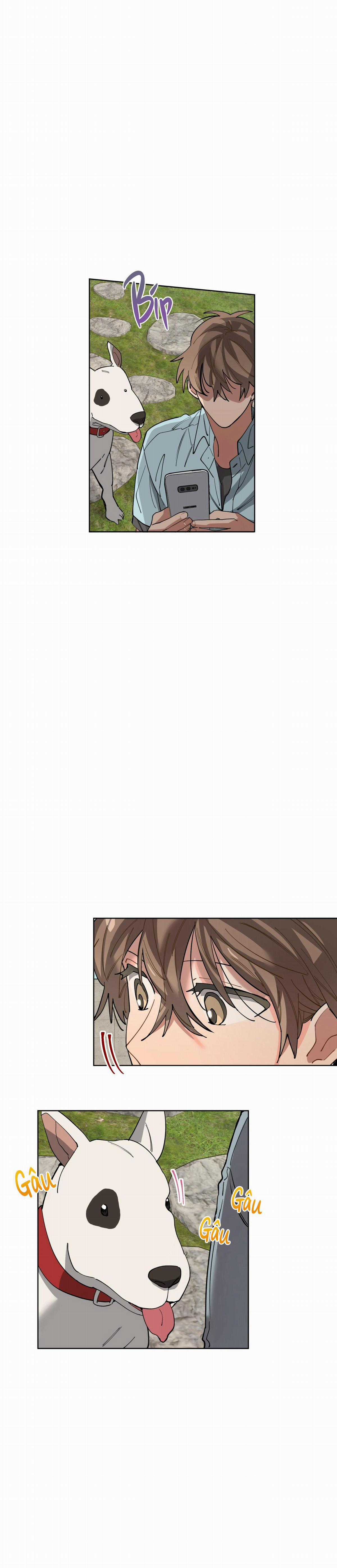 Cơn Mưa Rào - Chapter 62 - Trang 13