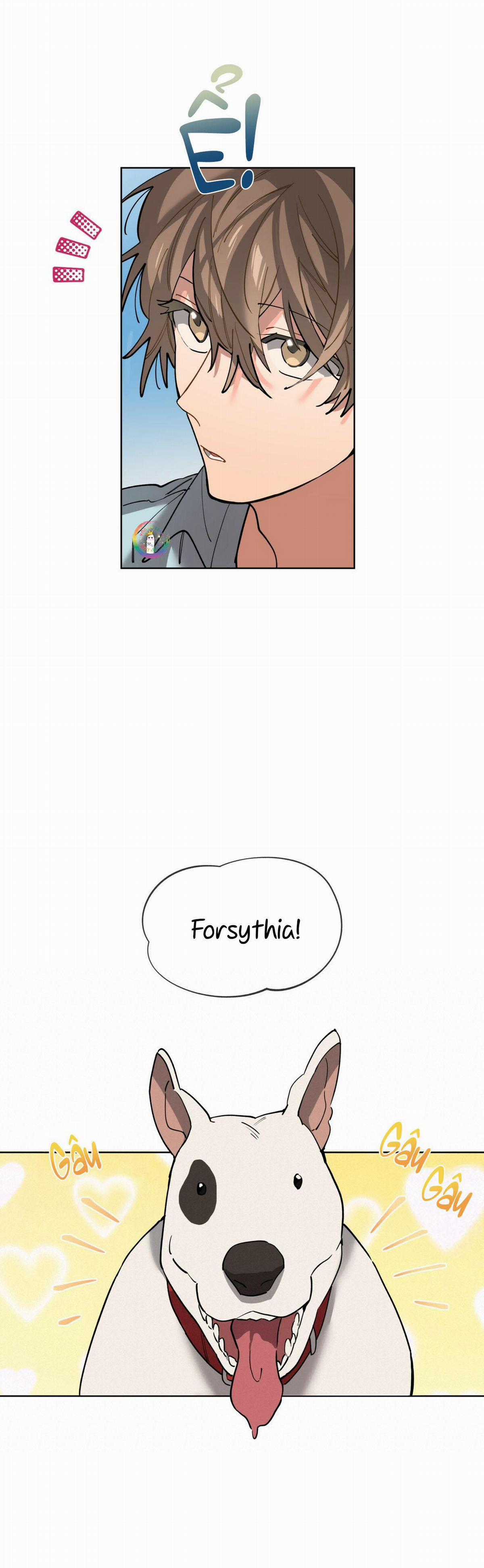 Cơn Mưa Rào - Chapter 62 - Trang 5