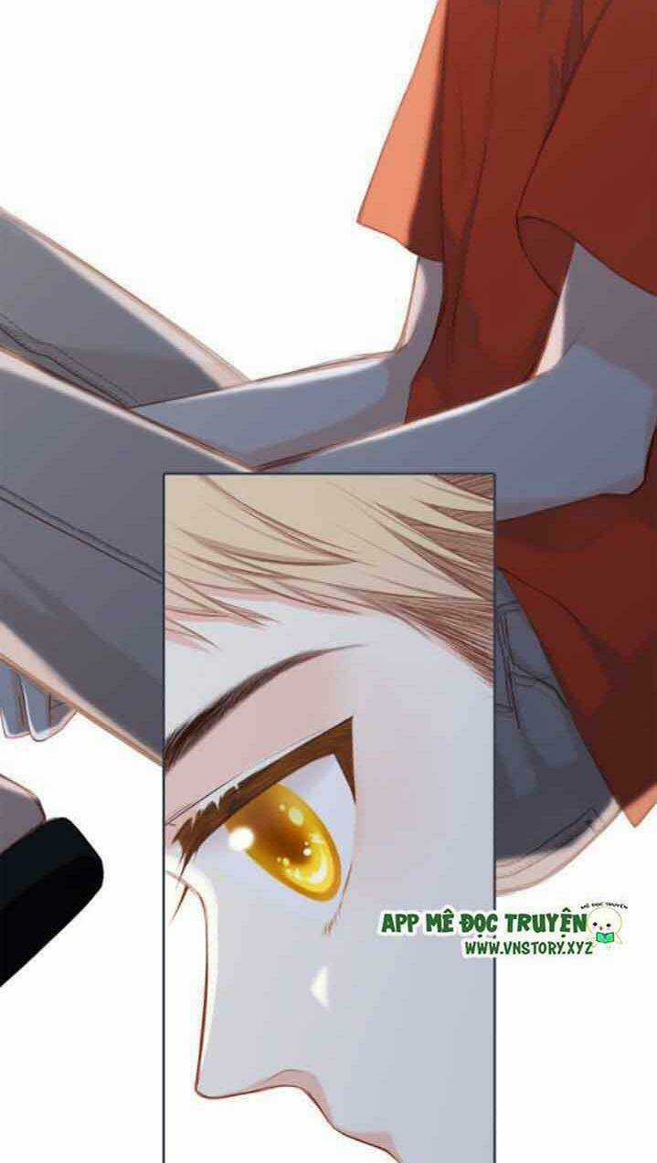 Con Tim Rung Động 2 - Chapter 119 - Trang 17