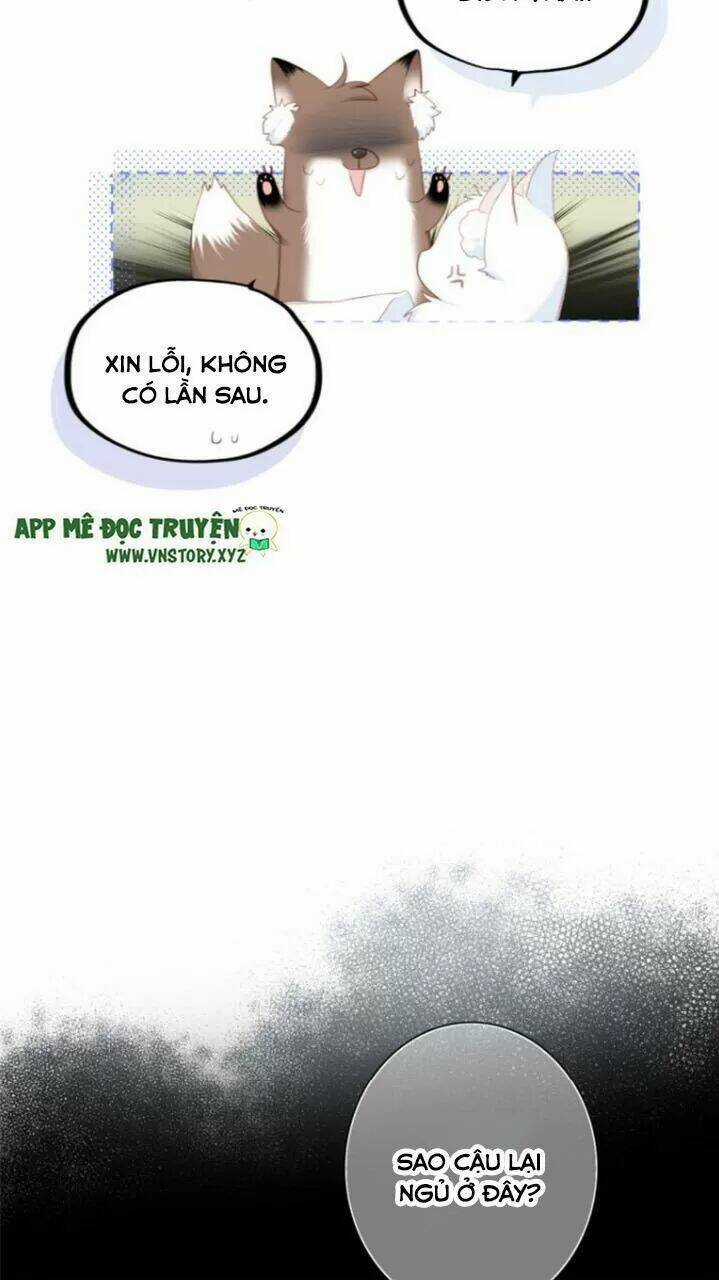 Con Tim Rung Động 2 - Chapter 123 - Trang 20