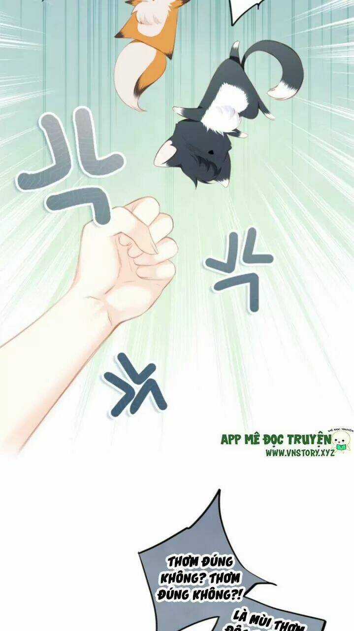 Con Tim Rung Động 2 - Chapter 124 - Trang 27