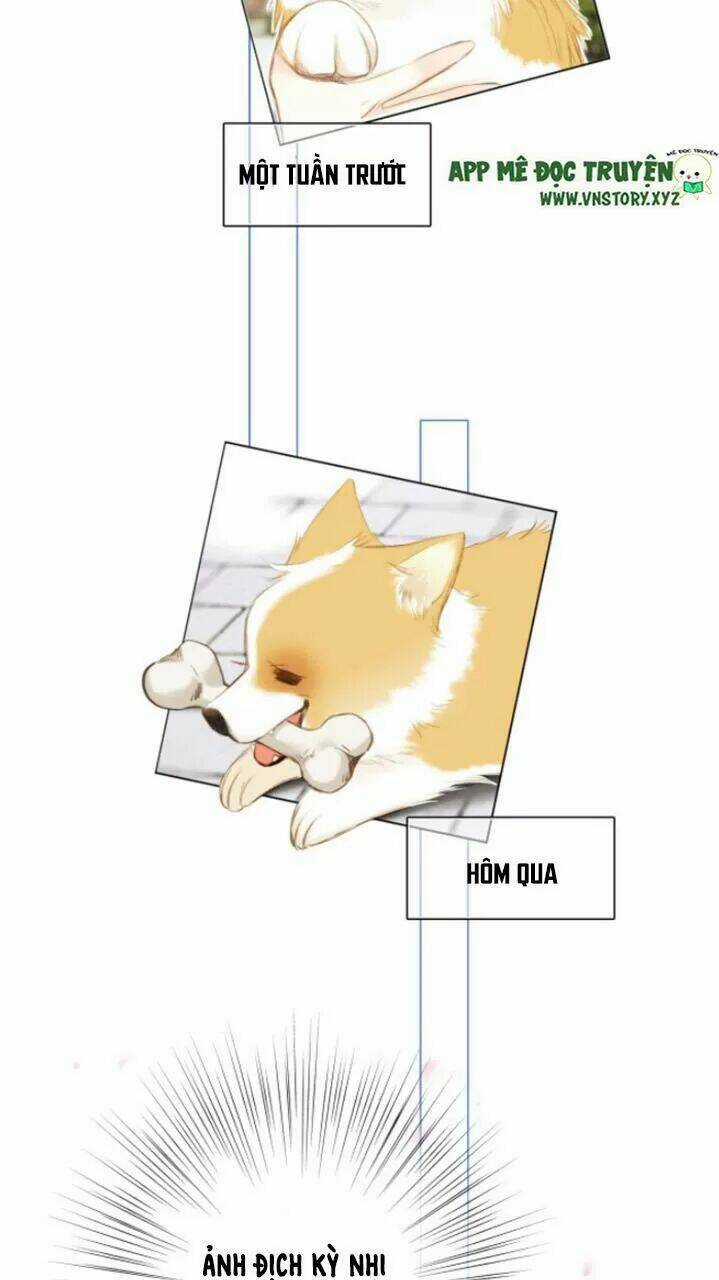 Con Tim Rung Động 2 - Chapter 127 - Trang 2