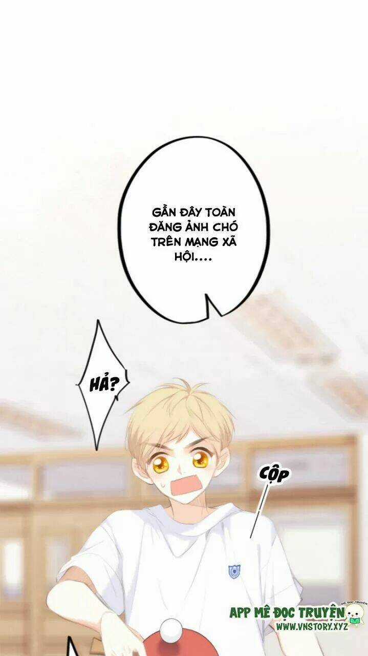 Con Tim Rung Động 2 - Chapter 127 - Trang 19